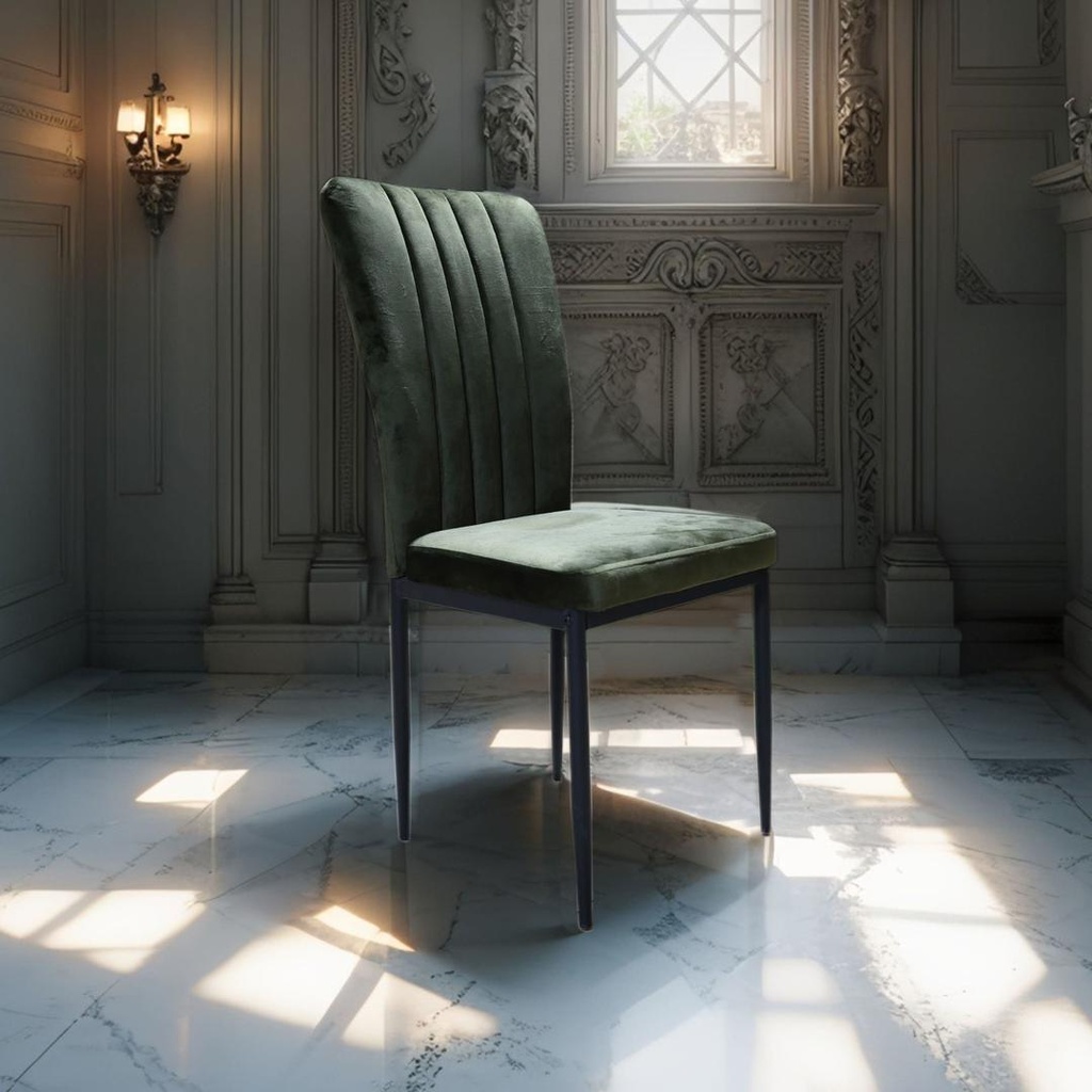 Chaise Salle a Manger CSM-SKY6733M