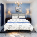 ENSEMBLE LIT REMBOURE LI-9874-160M