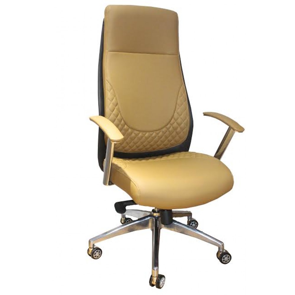 Ergonomic Office Chair FE-5003A