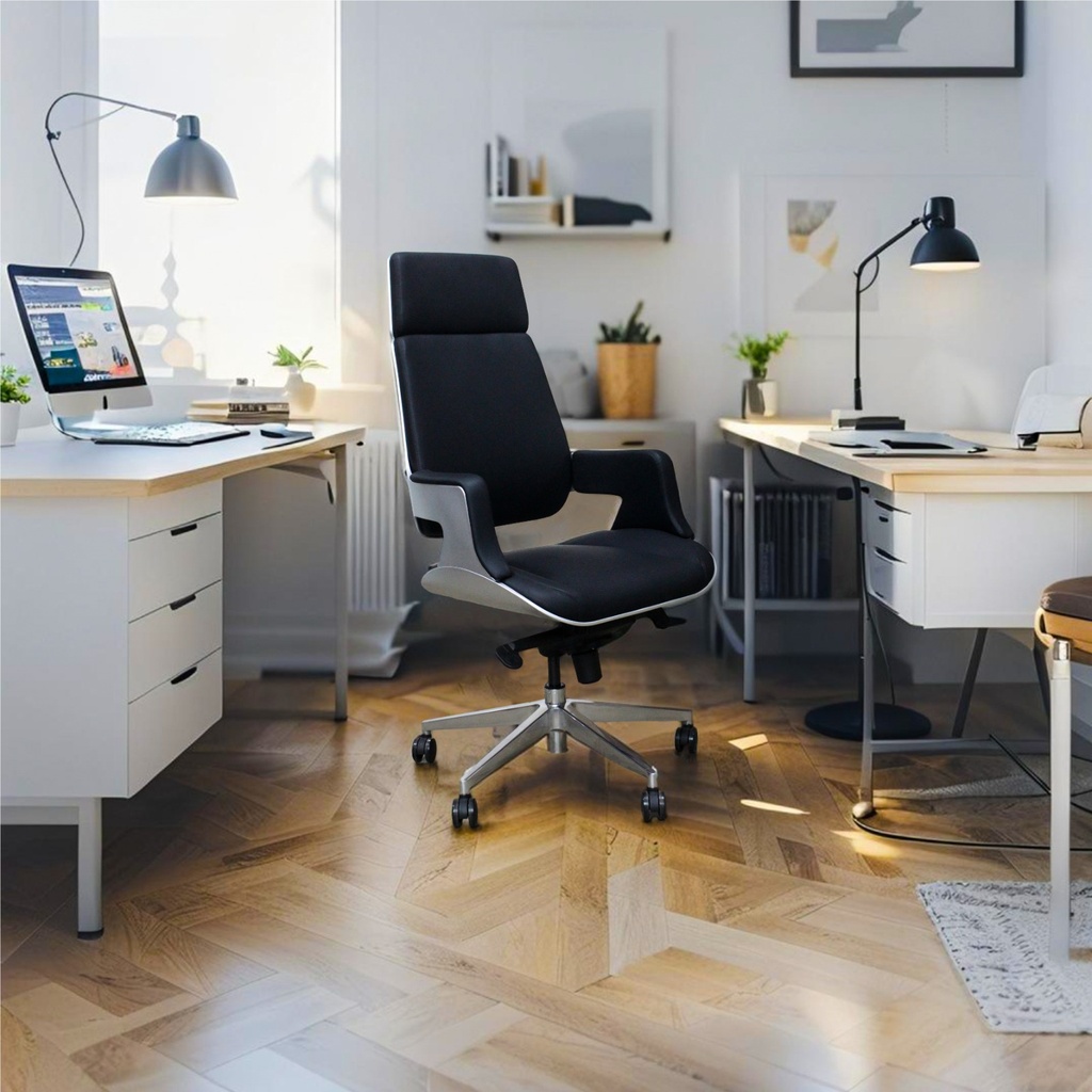 FAUTEUIL PRESIDENT FP-K2